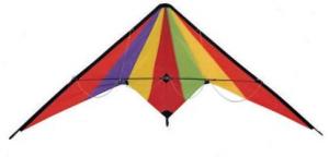 Quality 160*80cm Polyester Delta Stunt Kite For Spring for sale