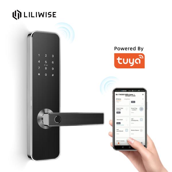 Buy Intelligent Bluetooth Door Lock Tuya App System Controls For Home Use at wholesale prices