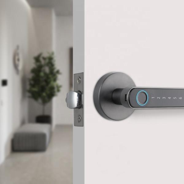 Buy Multifunctional Wifi Smart Door Lock / Keypad Electronic Door Lock With Key at wholesale prices