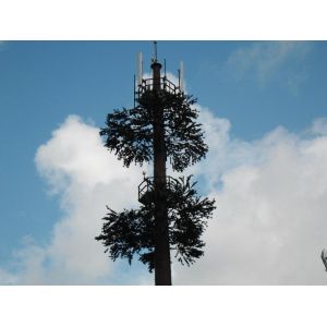 China Pine Tree 50m Camouflage Cell Tower For Telecommunication on sale