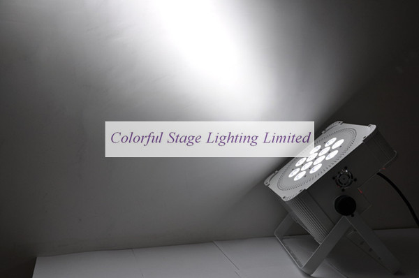 12X10W 4 in 1 Battery Powered and Wireless LED Par Can