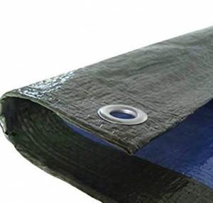 China Heavy Duty Canvas Tarp Waterproof Budget Tarpaulin With Eyelets Blue And Green Plastic Tarpaulin Sheets on sale