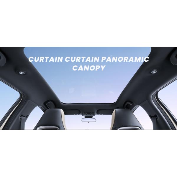 420km BYD Dolphin Electric Hybrid Cars EV Sedans 2025