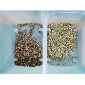 Optical cardamom colour sorting machine Multifunction