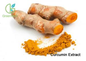 Quality Turmeric Curcuma Longa Extract / Curcumin Extract 95% Orange Yellow Fine Powder for sale