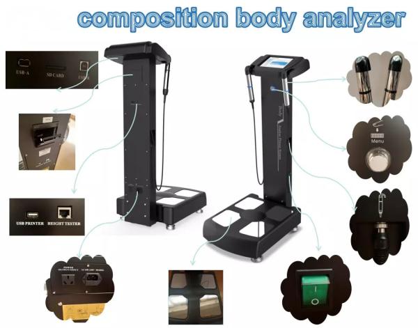 Buy OEM / ODM Body Analyzer Machine Customized With A4 Color Paper Printer at wholesale prices