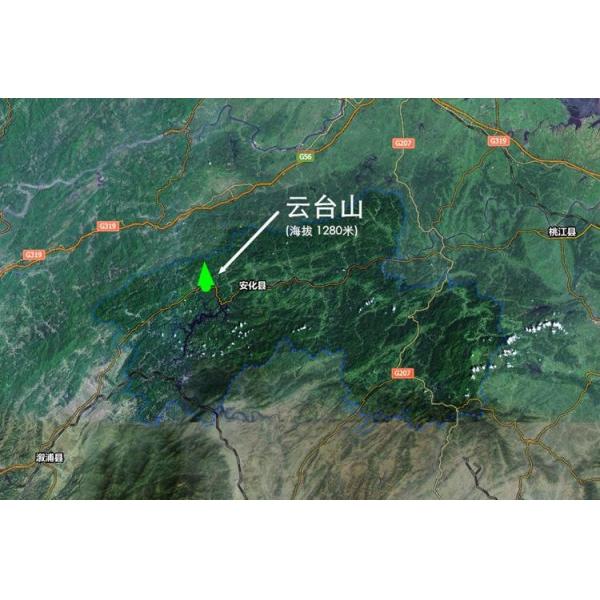 Hot Water Boiled Anhua Tianjian Tea For Lipid - Lowering Weight Loss Gift Packing