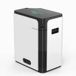 96% 1L Oxygen Concentrator Home Use Portable Mini Oxygen Concentrator
