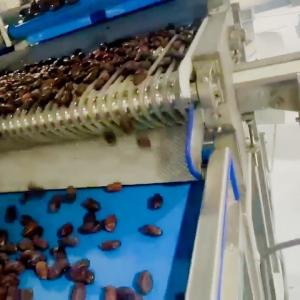 Quality Smart Date Sorting Machine Combining AI Deep Learning Food-Grade Construction Intelligent Multi-Mode Large Capacity Output for sale