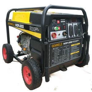 Portable Gasoline Generators WDF-250 250A