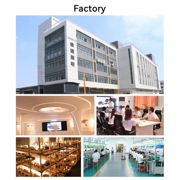 Movable Black Single Spotlight 220V 35W Adjustable Led Track Lighting