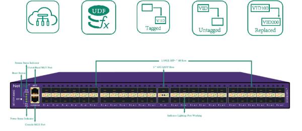 Bidirectional Bandwidth Network Packet Broker With Per Flow / Per Port / Per