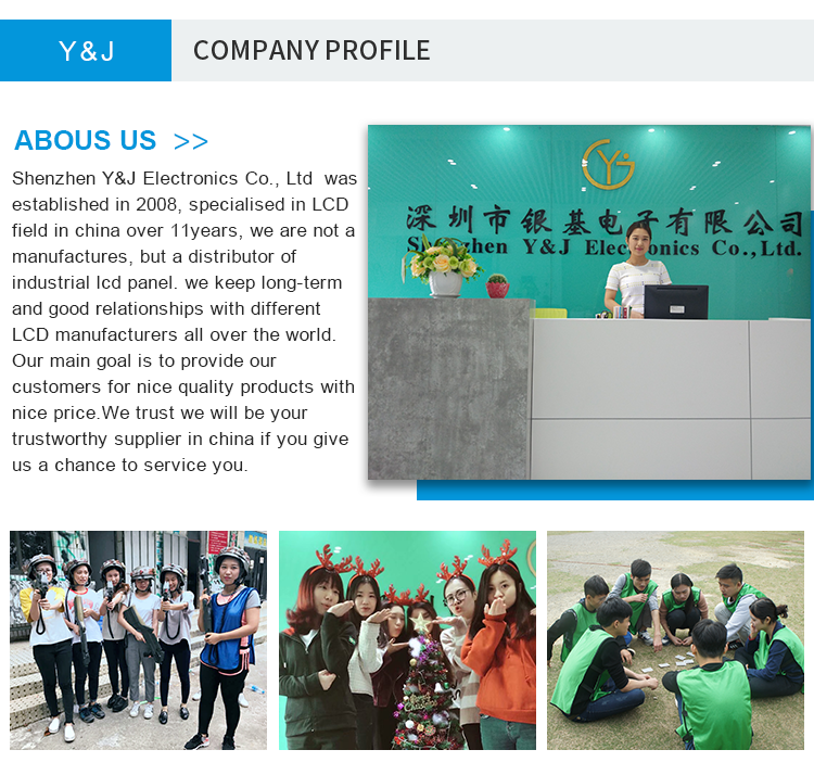 128*64 OLED LCD Module ODM Monochrome Graphic LCD Display For Instruments And Meters