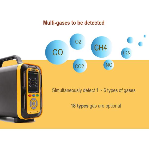 Industrial Composite Flue Gas Detector PTM600 O2 CO CO2 H2S CH4 H2