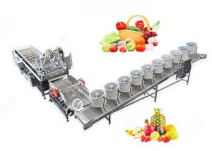 Quality Automatic Fruit And Vegetable Washer Fruit And Vegetable Washing Processing Equipment for sale