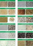 High Performance Optical Sorting Machine 5400 PIXEL CCD Camera Color Sorter