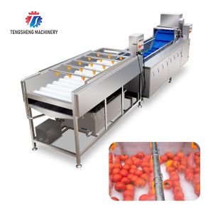Quality SS 380V Industrial Vegetable And Fruit Washing Machine for sale