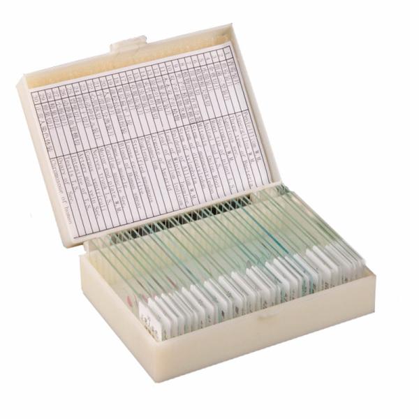Buy Homeschool Teaching 30pcs Human Tissue Microscope Slides On Basic Science at wholesale prices