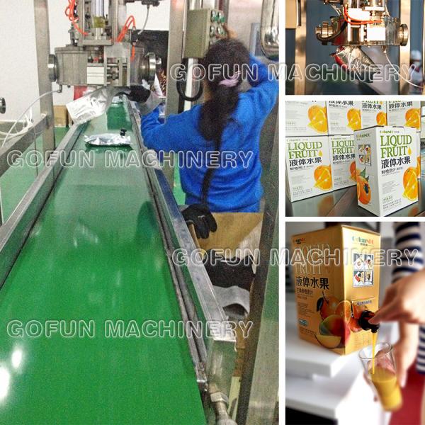 High Efficiency Lemon Juice Processing Plant 1500 T / Day For Beverage Factory