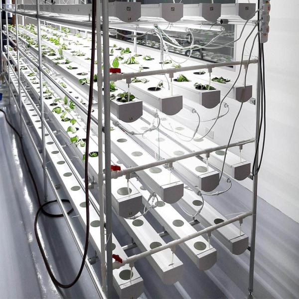 Horticulture Circular Tube Soilless Culture Hydroponic NFT Channel Grow Systems For Grow