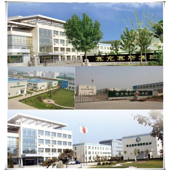 300ml/min Hydrogen Production PEM Electrolyzer with Advanced Electrolysis Technology