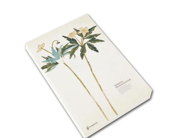 Buy Custom Printing Brochures , New Designe Notebook Printing , Soft Cover Book at wholesale prices
