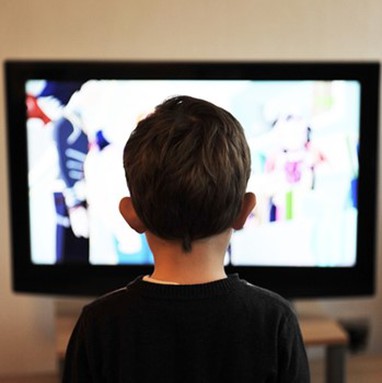 350 3 LC Shutter Fiber Adapter DX Duplex Metel Fiber Optic Adaptor