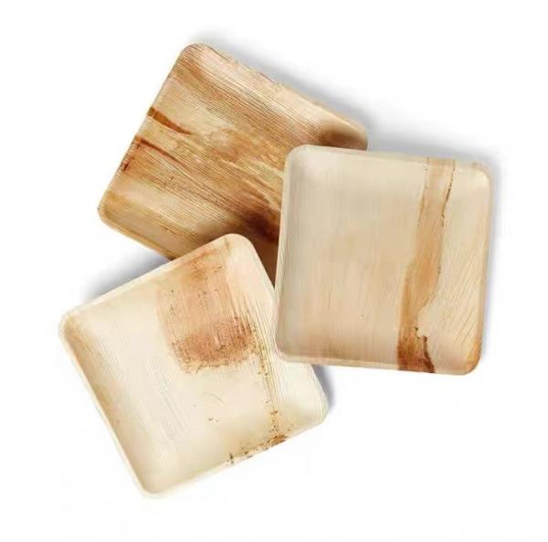 8" 10" Biodegradable Palm Leaf Plates Disposable