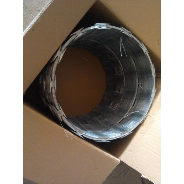 PVC Coated Razor Barbed Wire 450MM Coil BTO 22 0.5mm thickness