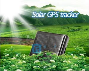 China Waterproof gps tracking device for sheep animal tracking with free online software gps sim on sale