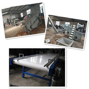 Quality walnut processing machines, walnut cracker, walnut shelling machine for sale