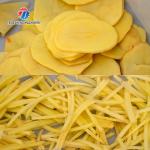 Pre Positioning Parsnip Potato Spiral Cutter Machine , Mango Fruit Pulp