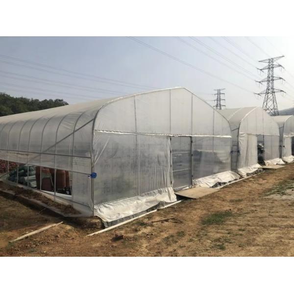 Commercial Agriculture High Tunnel Green Houses Single Span Metal Frame Greenhouse