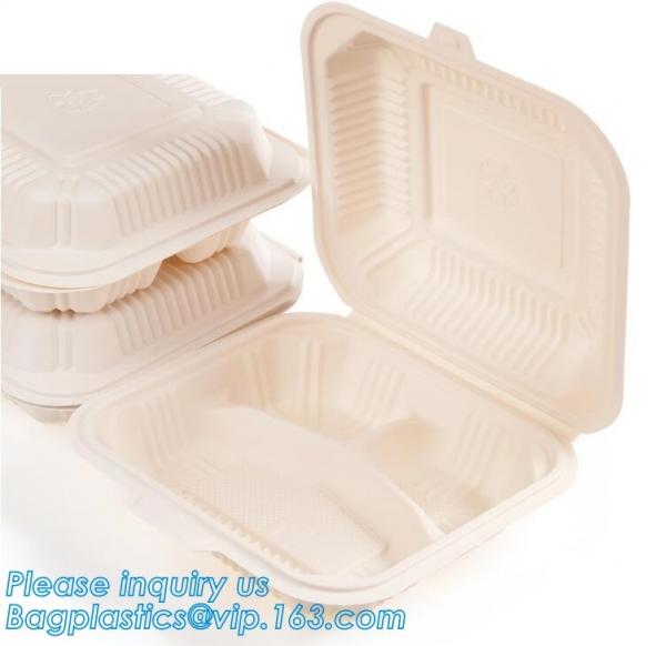 Meal Prep Containers 3 Compartment Leak Proof 1oz sauce cups Microwave BPA Free Plastic Food Bento Plastic Lunch Boxes