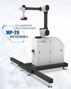 Robot Integration With Chinese Robot Arm WP-20   Palletizing Robot