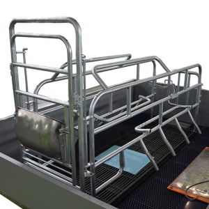 OEM ODM 304 Stainless Steel Farrowing Crates Swine Gestation Crates