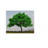 LHG1008 artificial trees--model trees ,model materials,landscape trees for sale