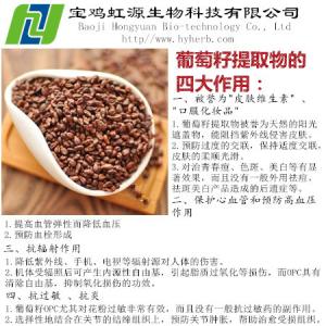 Quality Grape Seed Extract Vitis Vinifera for sale