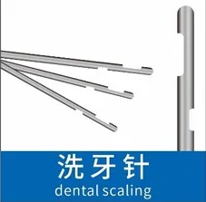 Stainless Steel Capillary Tube Dental Cleaning Needle Five-Sided Needle Non-Standard Needle Gas-Filled Needle.