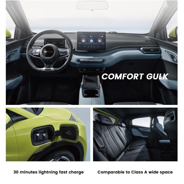 405km Flying Pure Electric BYD Seagull Sedan EV Customized