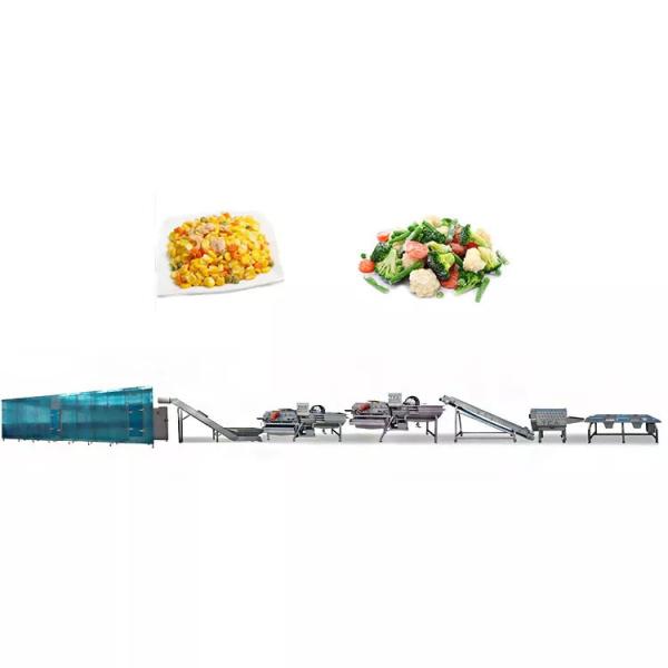 Buy High Efficiency Salad Vegetable Processing Line For Celery And Cabbage at wholesale prices