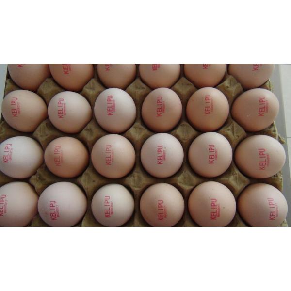 Intelligent Date Code Printing Machine , Laser Date Code Printer For Eggs