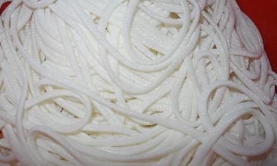 Buy Large Polyester Spiral Mesh Monofilament Polyester Mesh White And Blue at wholesale prices