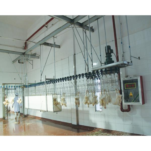 Buy 800bph - 2000bph Chicken Automatic Slaughtering Machine Broiler Processing Equipment at wholesale prices