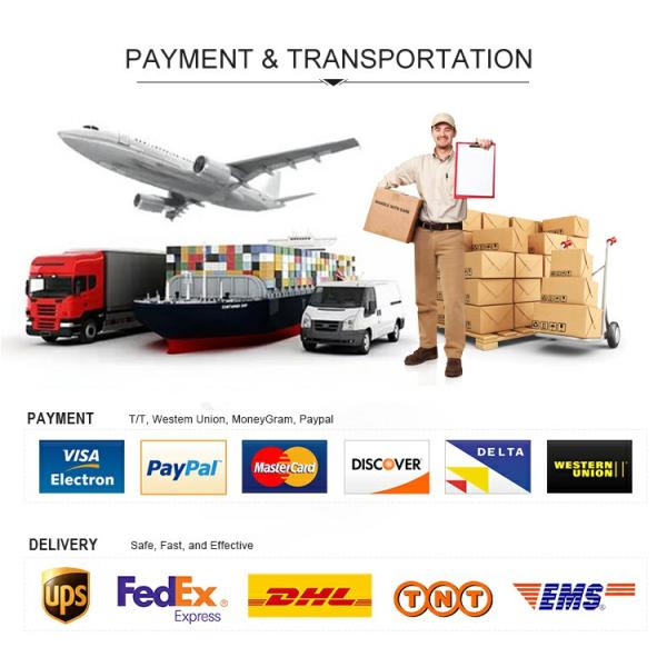 Ultra Large Format Sheet Metal Laser Cutter 24000mmx2500mm For Metal Sheet