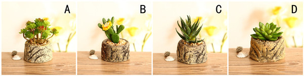 Mini Succulent Artificial Potted Plants Strange Shape Green Platsic Material