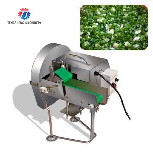SS304 Vegetable Processing Machine Mini Electric Tabletop Onion Slicer Food Processor