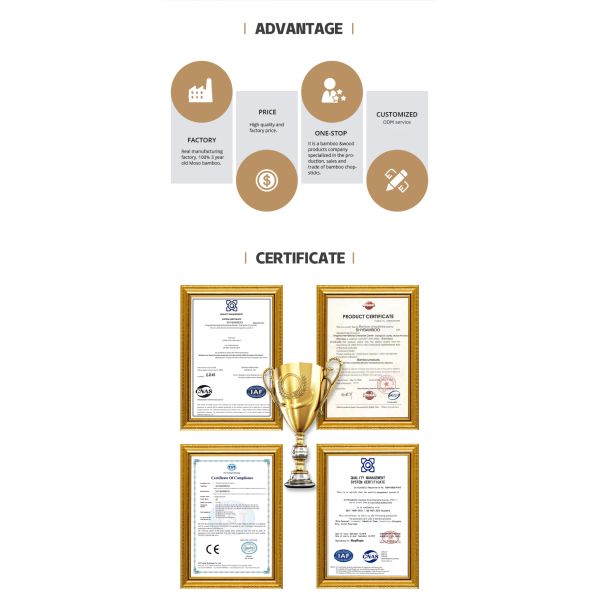 Disposable Raw Materials 210mm/240mm*4.8mm Carbonized Bamboo Chopsticks with Modern Design