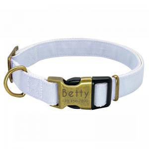 China Designer Basic Classic Plain Metal Clasp Dog Pet Collar for Dogs Cats and Puppies on sale