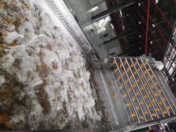 Buy PLC Control 220V 3T/Day Grape Juice Processing Line at wholesale prices